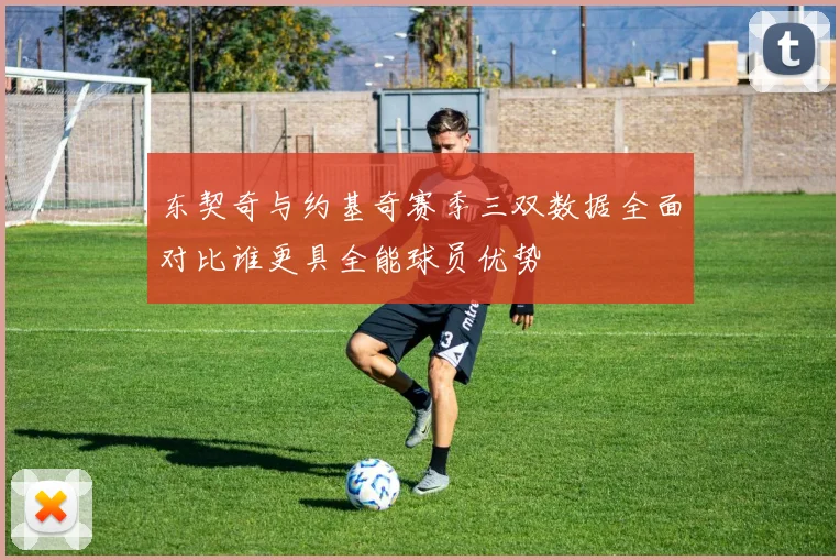 东契奇与约基奇赛季三双数据全面对比谁更具全能球员优势