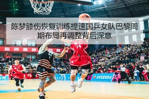 陈梦膝伤恢复训练提速国乒女队巴黎周期布局再调整背后深意