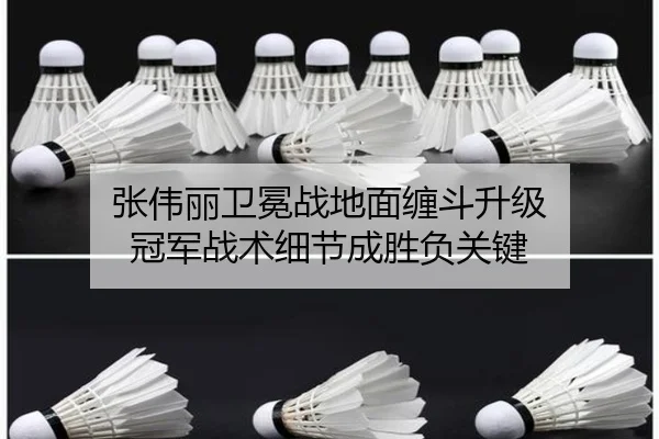 张伟丽卫冕战地面缠斗升级 冠军战术细节成胜负关键